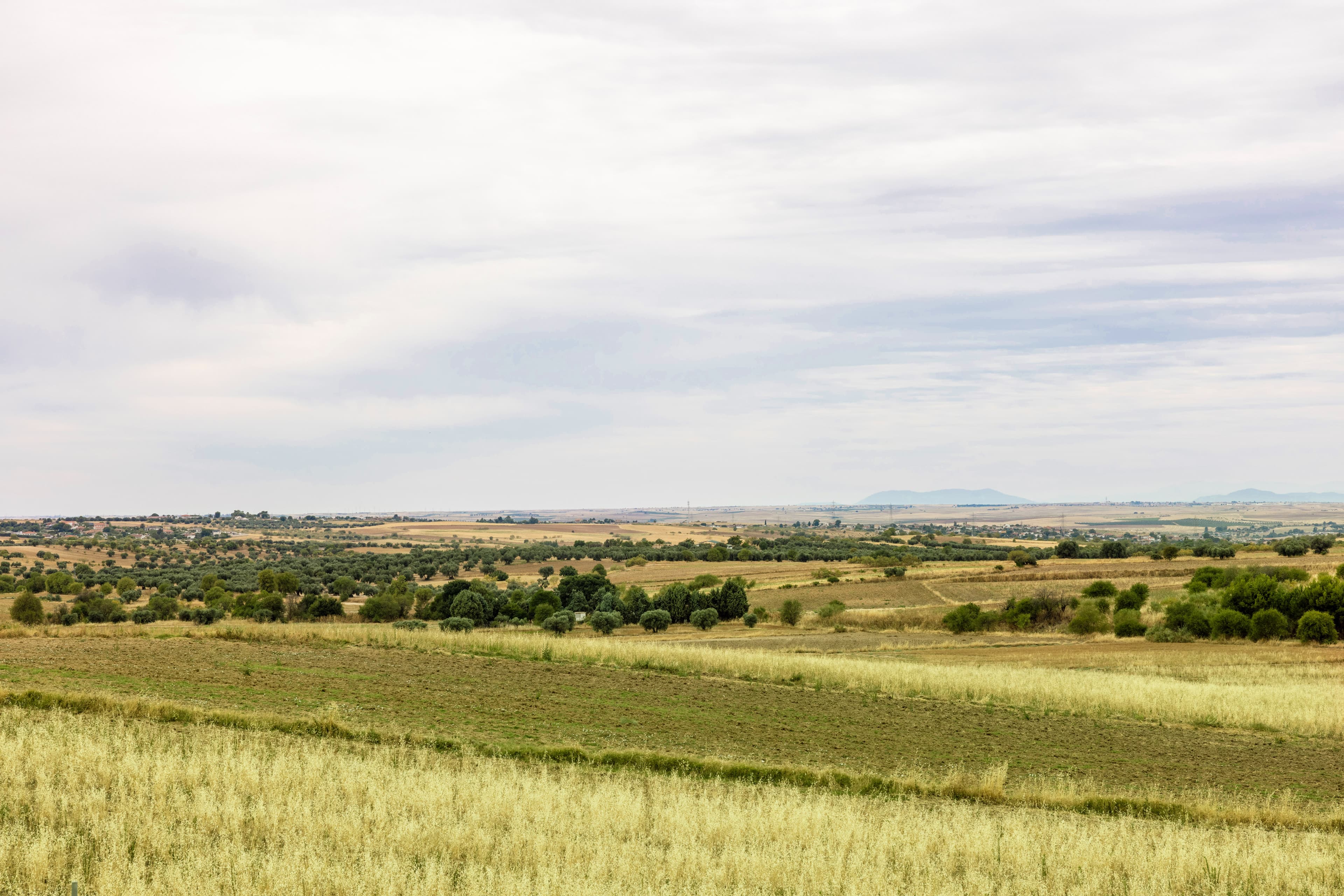 El Mirador del Viso de San Juan - Foto 51